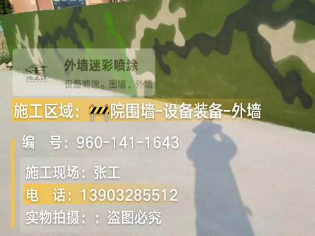 益阳 迷彩漆喷涂价格（按平方米计费）