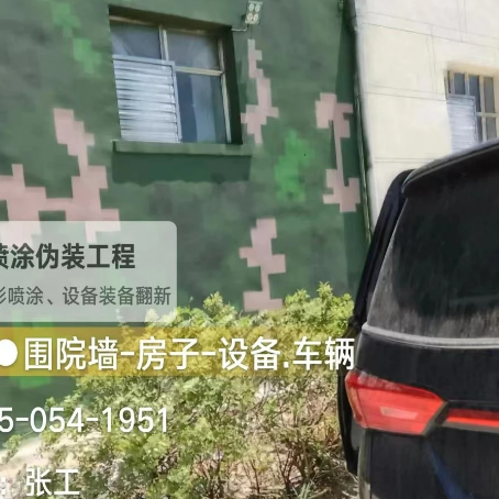 益阳数码迷彩漆施工